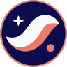 Starknet (STRK) cryptocurrency icon